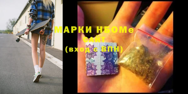 индика Алзамай