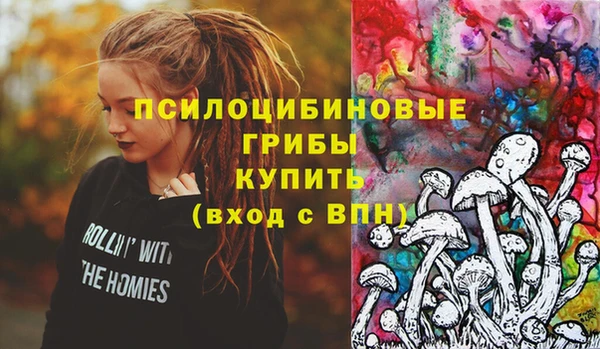 МДПВ Арсеньев