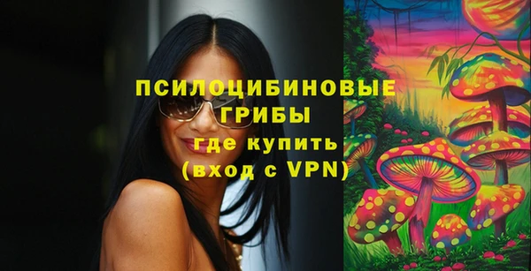 кокс Армянск