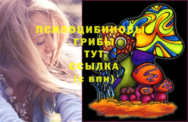 кокс Армянск