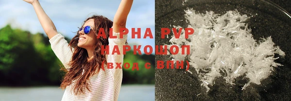 гидра Алексин