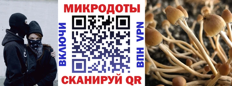 Галлюциногенные грибы Magic Shrooms Пустошка